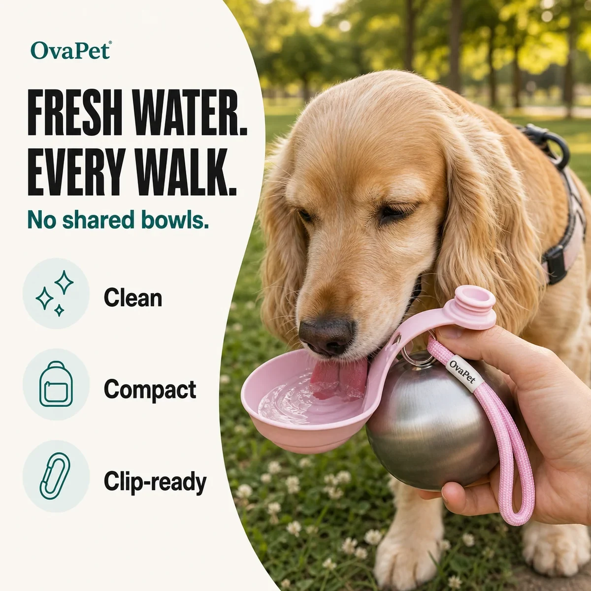 Fresh Water for Every Walk